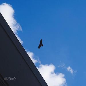 国产乱码字幕精品高清AV
